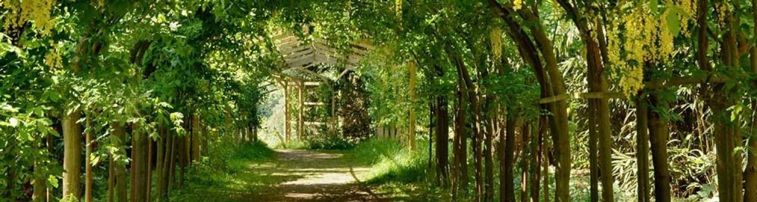 arley-arboretum-laburnum-arch Banner